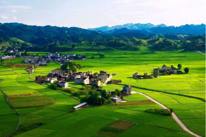鄉(xiāng)村振興戰(zhàn)略