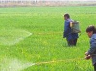 農(nóng)藥產(chǎn)業(yè)規(guī)劃