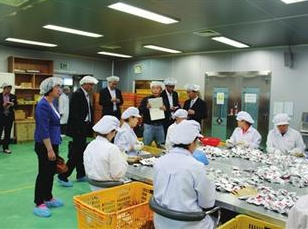 農副食品加工產業