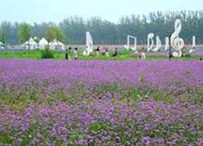 陜西寶雞市“十二五”休閑農(nóng)業(yè)發(fā)展規(guī)劃