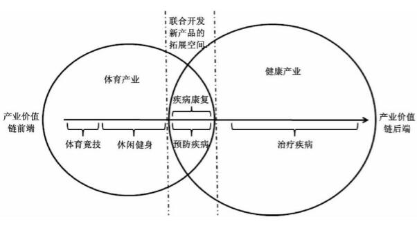 體育產(chǎn)業(yè)與健康產(chǎn)業(yè)協(xié)同發(fā)展模式示意圖