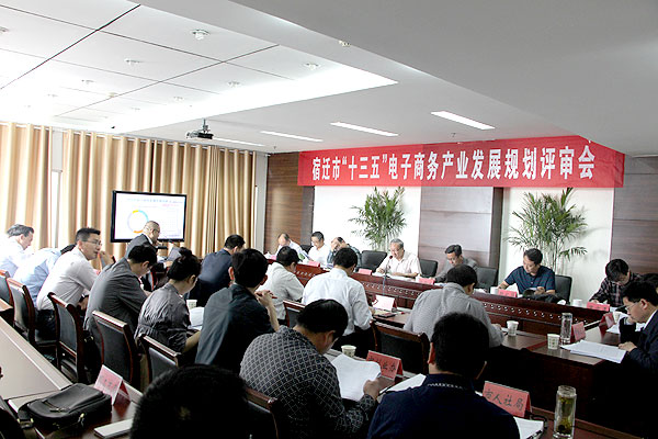 《宿遷市“十三五”電子商務產業發展規劃》評審會