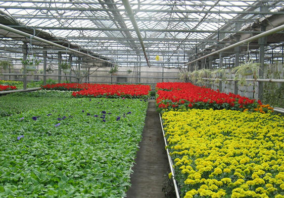 浐水源現代都市農業示范園項目可研報告