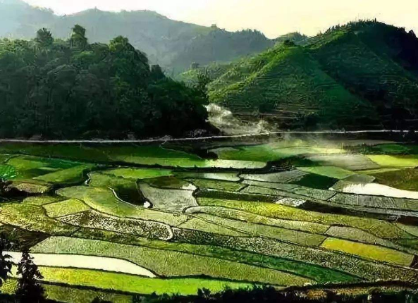 鄉(xiāng)村振興戰(zhàn)略中產(chǎn)業(yè)融合之道