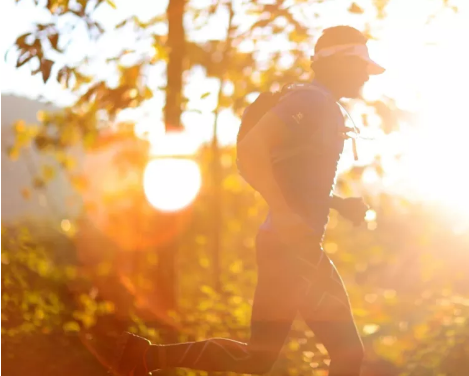 2019年全國森林康養基地試點建設單位
