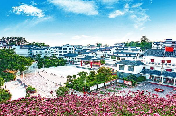 都市農(nóng)業(yè)新區(qū)先導(dǎo)區(qū)規(guī)劃設(shè)計(jì),南寧那馬鎮(zhèn)都市農(nóng)業(yè)新區(qū)先導(dǎo)區(qū)規(guī)劃設(shè)計(jì)