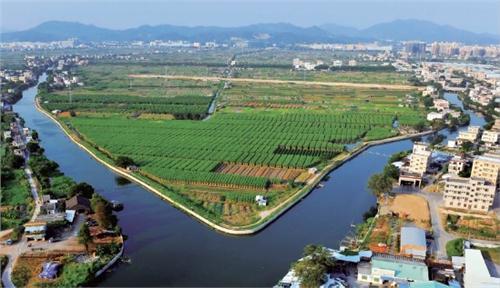 中山市坦洲鎮休閑旅游產業