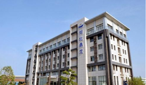 湖北鼎龍股份