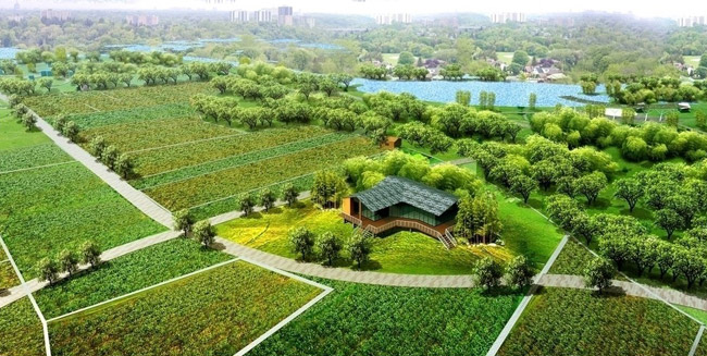 2017～2020年建設區域生態循環農業項目300個左右