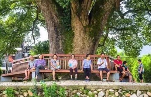 鄉(xiāng)村振興戰(zhàn)略