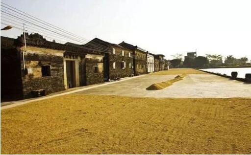 鄉(xiāng)村振興戰(zhàn)略