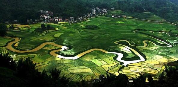 廣西河池市巴馬縣研究制定了大健康產(chǎn)業(yè)發(fā)展規(guī)劃和政策意見