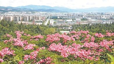在長江經濟帶建設中，普洱要扮演怎樣的角色？