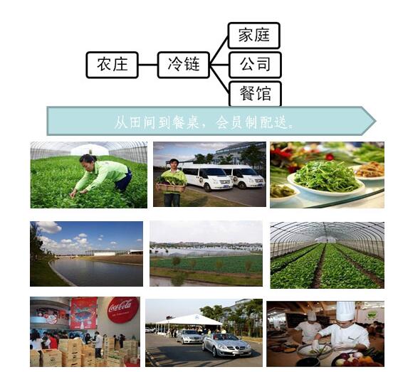 田園綜合體案例研究——上海多利農莊