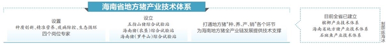 全國(guó)首個(gè)地方豬產(chǎn)業(yè)技術(shù)體系啟動(dòng)  將解決海南地方豬產(chǎn)業(yè)問(wèn)題