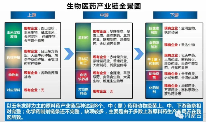 內蒙古自冶區生物醫藥產業鏈全景圖