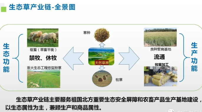 內蒙古自冶區生態草產業鏈全景圖